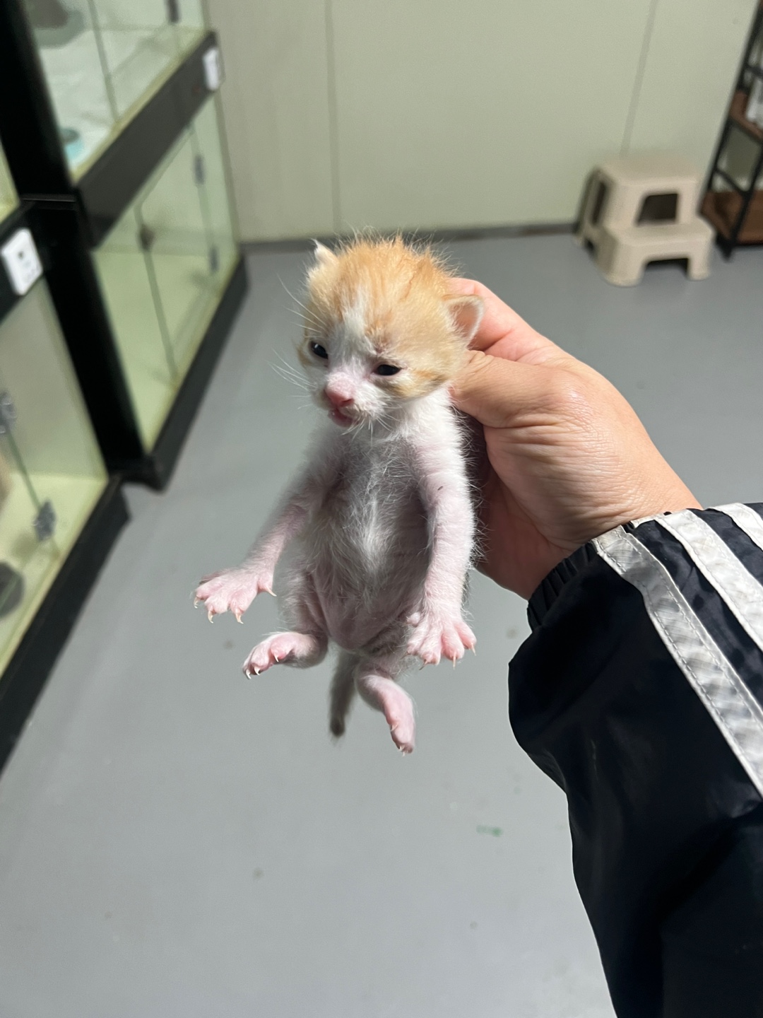 부산동물보호센터_426332202400766